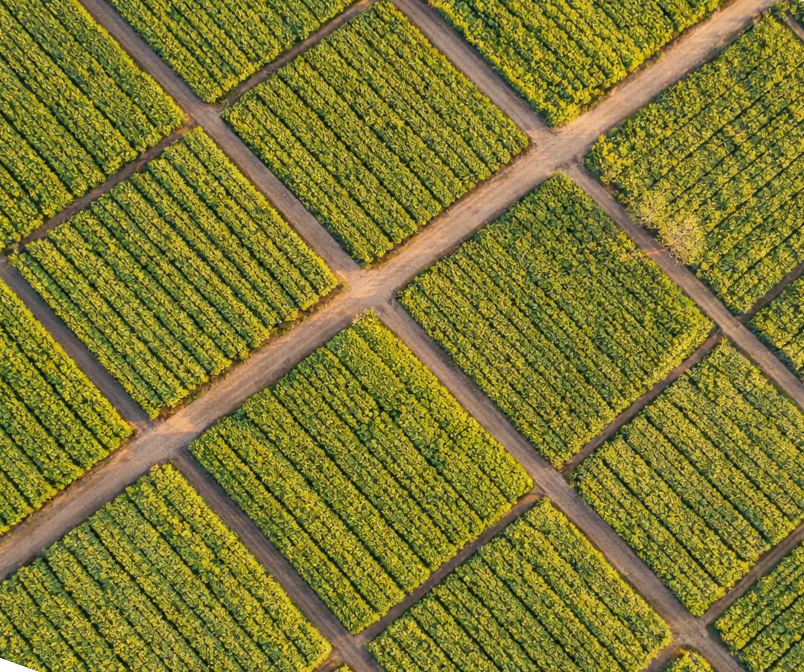 Parcelizim dhe matje terreni